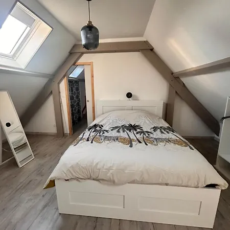 Duplex Lumineux 60m2 Dunkerque Centre, 2 Min Port